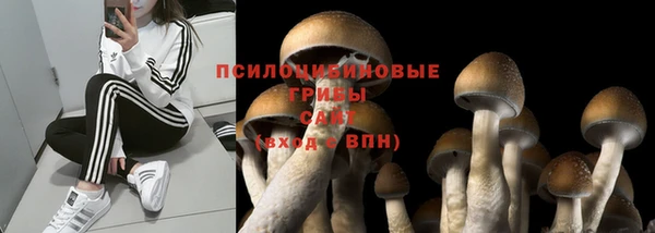 ешки Алексин