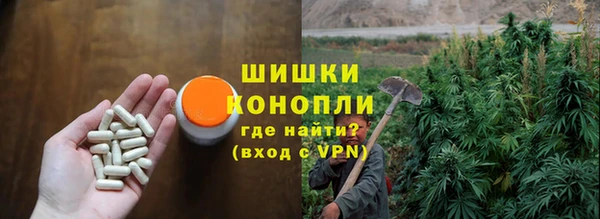 прущие грибы Абдулино
