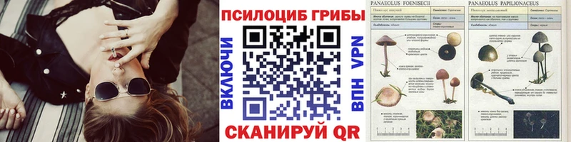 Галлюциногенные грибы Psilocybine cubensis  купить наркотик  Шимановск 
